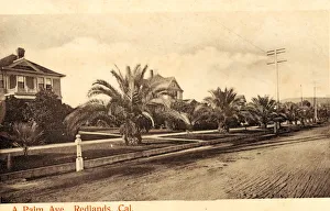 1904 California Redlands A Palm Ave United States 1904 California Redlands A Palm Ave United States