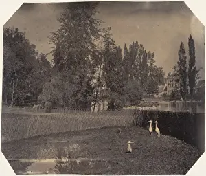 Liszt Collection Print of Artokoloro S.565