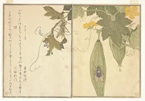 Kitagawa Utamaro Art Prints: ÒÇ