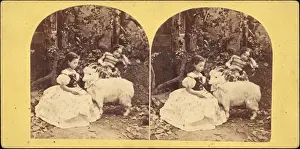 Liszt Collection Print of Artokoloro 1885