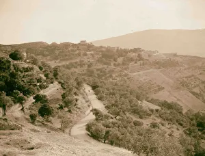 ascent Safad olive orchards 1920 Israel Tsefat ascent Safad olive orchards 1920 Israel Tsefat