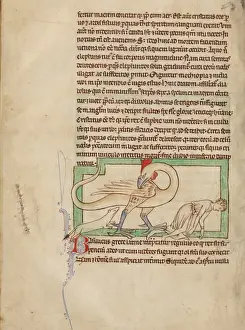 English Illuminated Manuscripts Prints: A Basilisk