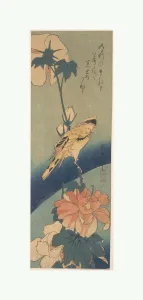 Black-naped Oriole Perched Stem Rose Mallow 歌川広重画 芙蓉に高麗鶯 Black-naped Oriole Perched Stem Rose Mallow 歌川広重画 芙蓉に高麗鶯