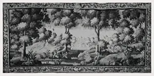Aggressive Cat Behavior Prints: Cat attacking cock