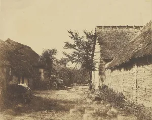 Chaumiere aux oies Boursadiere Allier Andre Giroux Chaumiere aux oies Boursadiere Allier Andre Giroux