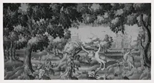 Liszt Collection Print: Congregating Birds