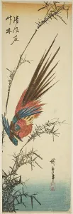 Copper pheasant bamboo 1840s Utagawa Hiroshige aea· aºe Copper pheasant bamboo 1840s Utagawa Hiroshige aea· aºe