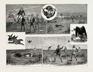 A days hawking at Dera Ghazi Khan, Punjaub, India, 1889 A days hawking at Dera Ghazi Khan, Punjaub, India, 1889