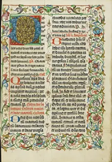 Decorated Initial Print: Tempera, gold, and ink on parchment