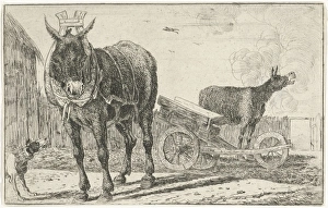 Two donkeys, print maker: Jan van den Hecke I, Jan van den Hecke I, 1656 Two donkeys, print maker: Jan van den Hecke I, Jan van den Hecke I, 1656