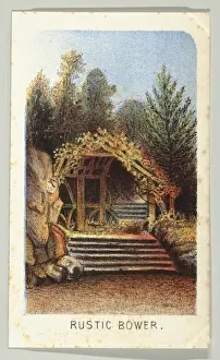 Rustic Bower Print, Views in Central Park, New York