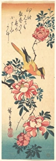 Eastern Grey Wagtail Rose Edo period 1615-1868 Eastern Grey Wagtail Rose Edo period 1615-1868