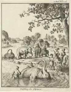 Elephants spray themselves water river Wassching der Elefanten Elephants spray themselves water river Wassching der Elefanten