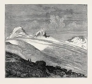 Retro Styled Engraving Image Prints: Source Size = 1870 x 1674