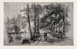 Liszt Collection Print: Bois D'amour, Pont-Aven Engravings