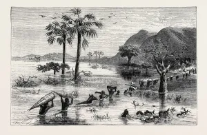David Livingstone Discovery Prints: Source Size = 2642 x 1692