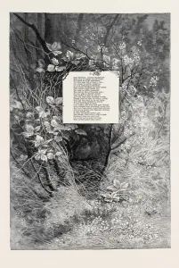 Liszt Collection Print - Engravings (MATED) 3502 x 5120