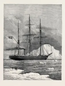 Vega Print Among Arctic Icebergs, 1880 Engraving