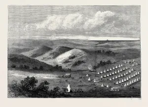 Vintage Engraved Prints: Source Size = 3600 x 2561