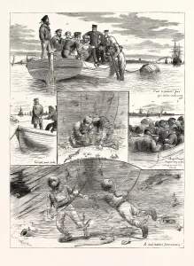 Print of an Amateur Diver with Engravings
