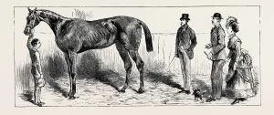 Horse Training Techniques Prints: Source Size = 3732 x 1538