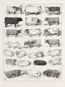 Retro Styled Animal Art Prints: Source Size = 3758 x 4971