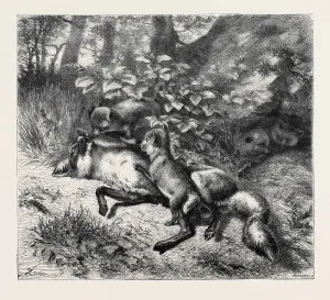 Retro Styled Animal Art Prints: Source Size = 3767 x 3365