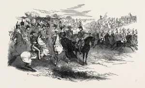 Windsor Great Park Prints: Source Size = 3934 x 2349