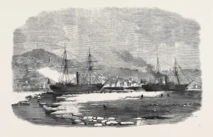 Vintage Nautical Illustration Prints: Source Size = 3948 x 2491