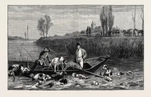 Print of a large stag in a landscape setting, engraved on paper