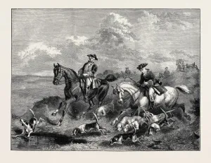 Horse Illustration Prints: Source Size = 5010 x 3764