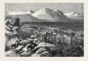 Vintage Engravings Prints: Source Size = 5739 x 3968
