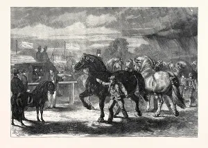 Victorian Era Agriculture Prints: Source Size = 5748 x 4005
