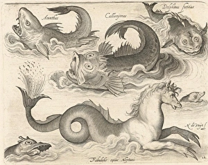 Fantastic invertebrates, including a seahorse, Nicolaes de Bruyn, 1581 - 1656 Fantastic invertebrates, including a seahorse, Nicolaes de Bruyn, 1581 - 1656