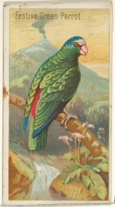 Festive Green Parrot Birds Tropics series N5 Festive Green Parrot Birds Tropics series N5
