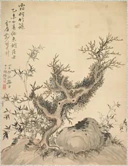Frosted Branches Dwarf Bamboo 1847 Tsubaki Chinzan Frosted Branches Dwarf Bamboo 1847 Tsubaki Chinzan