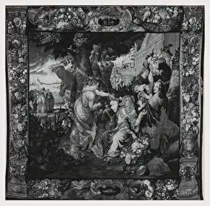 Wine Grape Harvest Prints: Grape harvest
