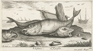 Three haddock on the beach, Albert Flamen, Jacques van Merlen, Lodewijk XIV (koning Three haddock on the beach, Albert Flamen, Jacques van Merlen, Lodewijk XIV (koning