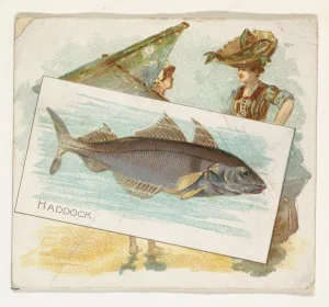 Haddock Fish American Waters series N39 Allen & Ginter Cigarettes Haddock Fish American Waters series N39 Allen & Ginter Cigarettes