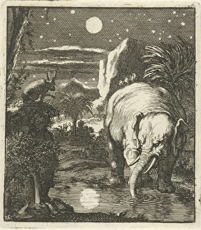 Hare elephant full moon water source trunked animals Hare elephant full moon water source trunked animals