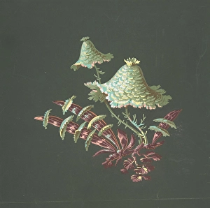 Two Hat-Shaped Chinoiserie Flowers Fanciful Leaves Two Hat-Shaped Chinoiserie Flowers Fanciful Leaves