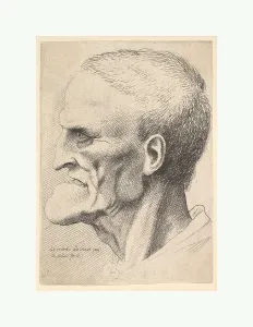 Head old man pronounced chin short cropped hair Head old man pronounced chin short cropped hair
