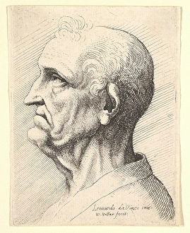 Head old man tufts curly hair ear profile left Head old man tufts curly hair ear profile left