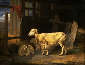 James Ward Art Prints: Heath Ewe and Lambs Signed and dated in black paint, lower left: J
