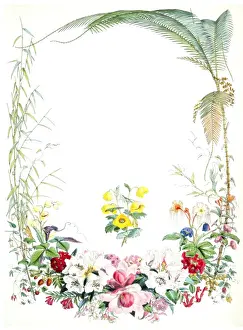 Walter Hood Fitch Artist Prints: Illustrations of Himalayan plants. [Title page]. Fitch, W. H. (Walter Hood) (1817-1892)