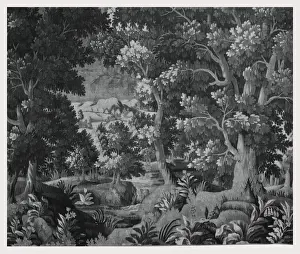Nature Landscapes Prints: Landscape stream