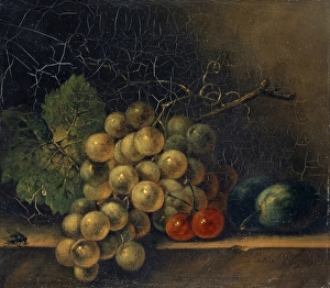 Life Grape Stone Fruit Fly 1686 oil canvas 18.5 x 20.5 cm Life Grape Stone Fruit Fly 1686 oil canvas 18.5 x 20.5 cm