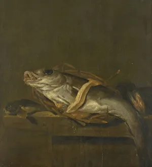 Life Haddock Gurnard life haddock grunt mussels lying Life Haddock Gurnard life haddock grunt mussels lying