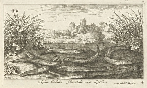 Loaches on a river bank, Albert Flamen, 1664 Loaches on a river bank, Albert Flamen, 1664