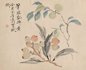 Loquat Tree Japan Tsubaki Chinzan Japanese 1801-1854 Loquat Tree Japan Tsubaki Chinzan Japanese 1801-1854